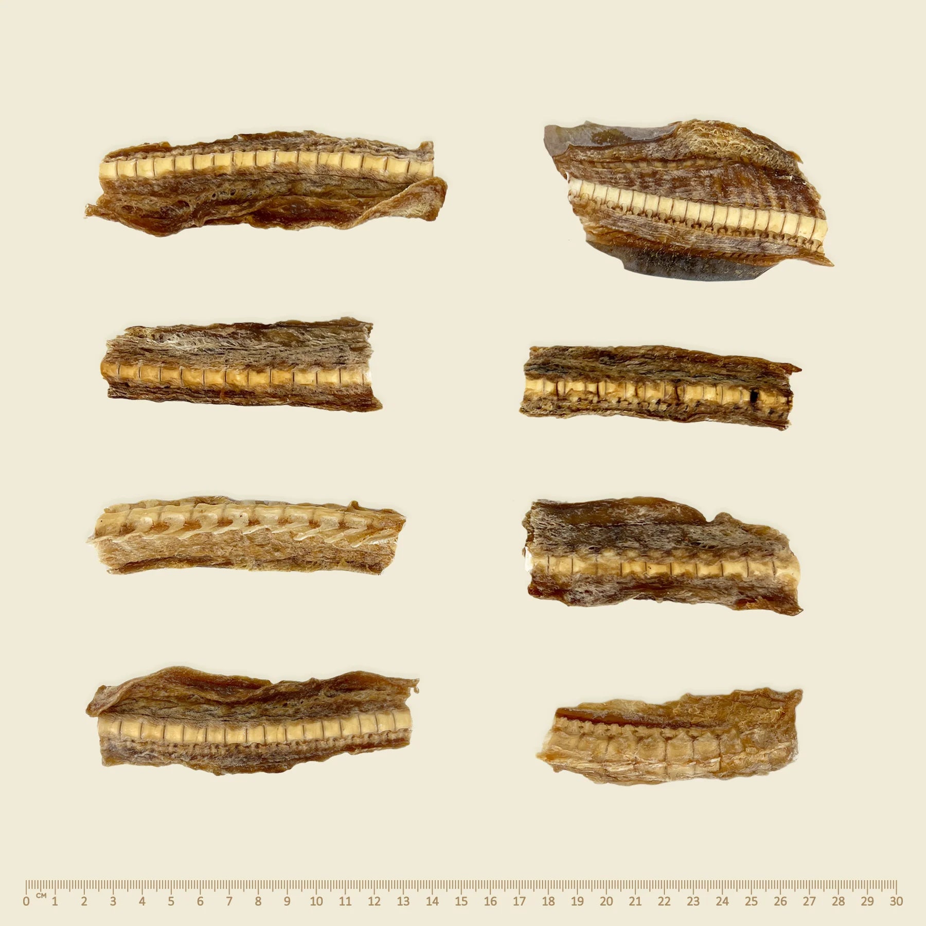 Southern Ocean Shark Cartilage (100g)