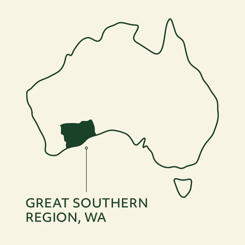 Great Southern Beef Tripe (100g)