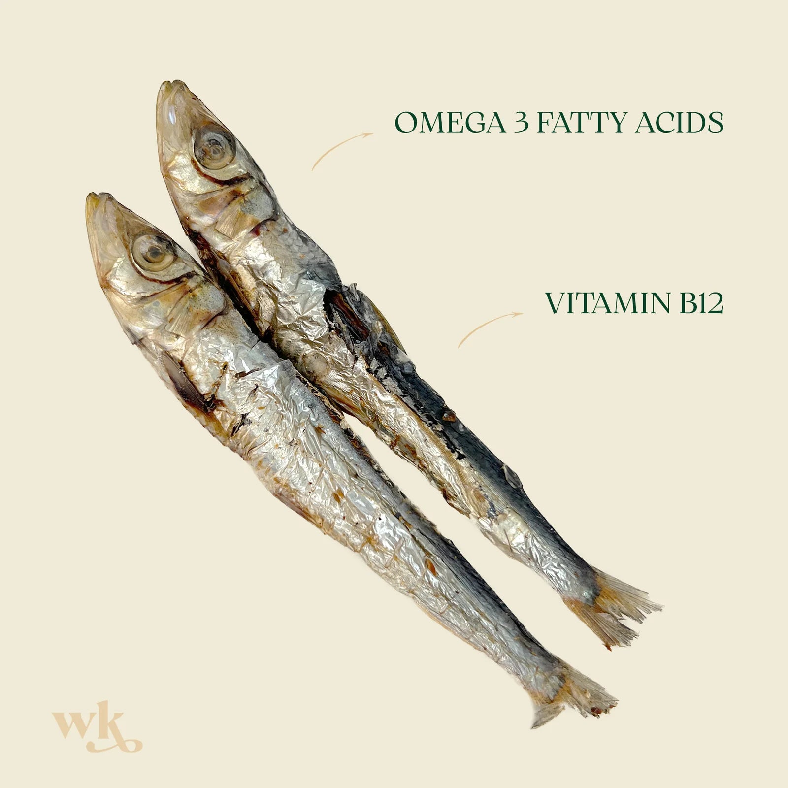 Southern Ocean Pilchards (100g)